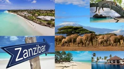 Transfers auf der exotischen Insel Sansibar