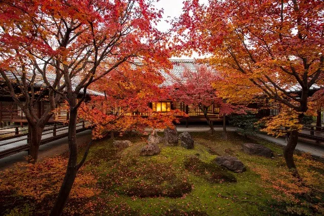 Herbst in Japan