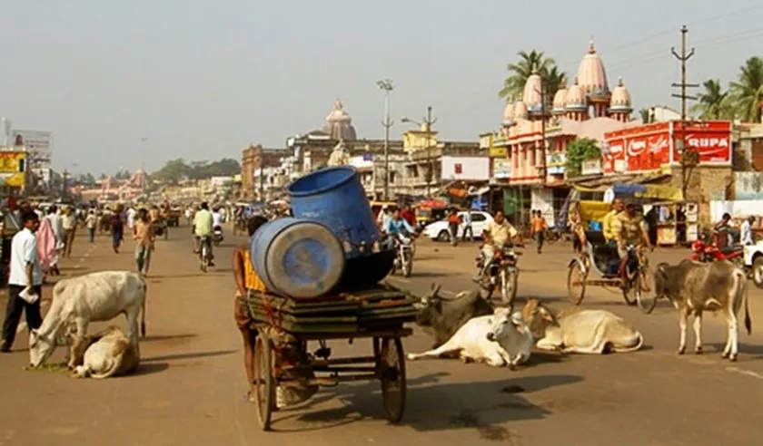 Fahren auf den Straßen Indiens