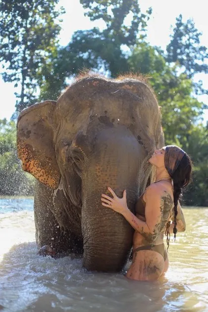 Frau mit Elefant in einem Fluss in der Nähe von Chiang Mai