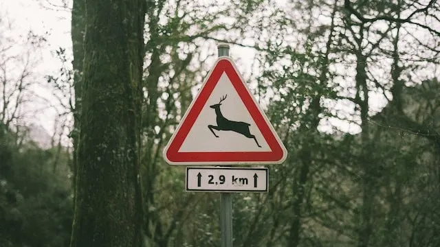 Europäisches Verkehrszeichen