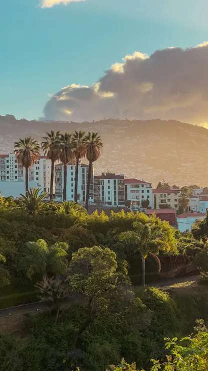 Reise über Funchal, Portugal. Erleben Sie großartige Ausblicke auf Madeira
