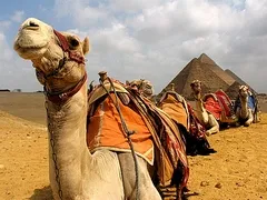 Ägypten-Überweisungen
