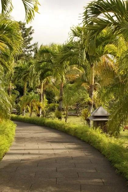 Panoramablick auf Mauritius