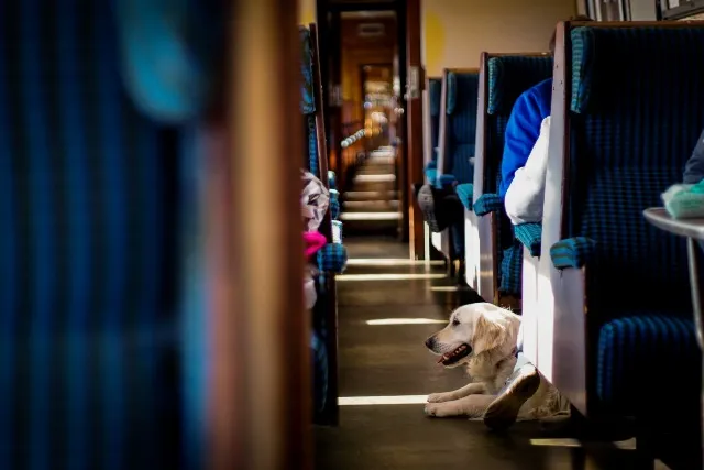Tierreise mit der Bahn