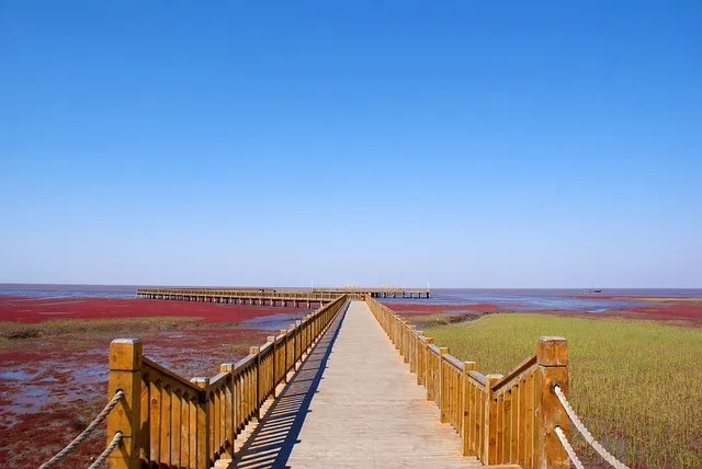 Roter Strand in Panjin, China
