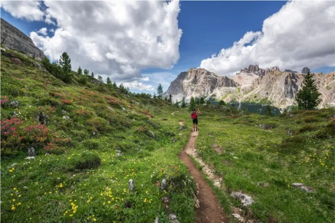 Sommerreise in die Alpen