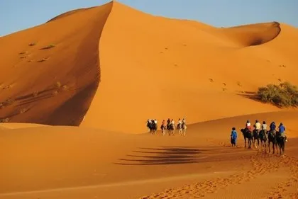 Winterliche Sahara in Marokko